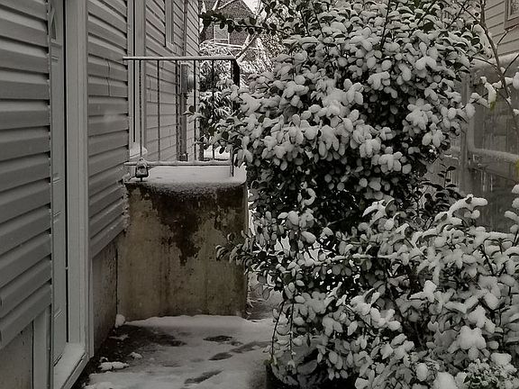 5th image of 10005 205th Pl