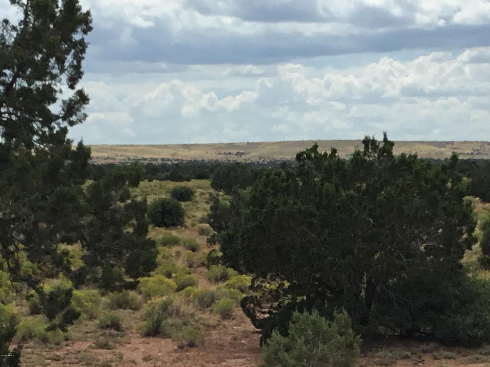 1st image of 9270 S Adobe Trl Lot C