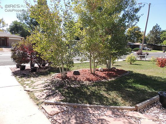 Front Landscaping