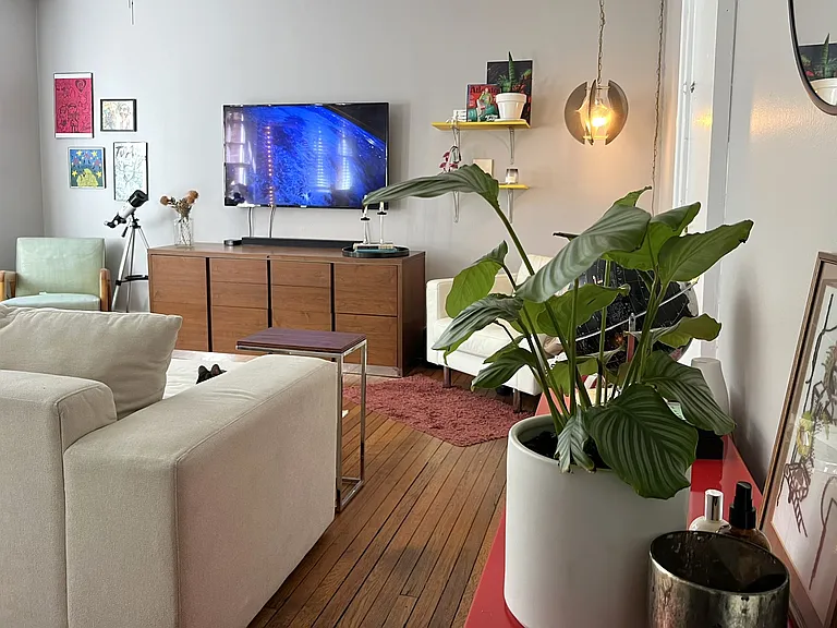 Large sunny living room