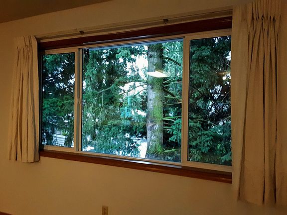 Private with view of trees out living room window