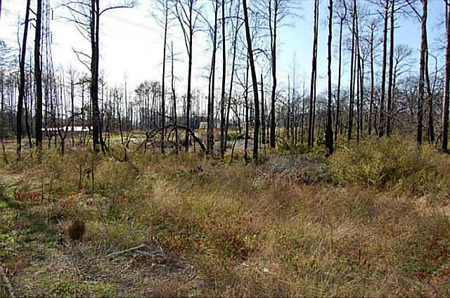 2nd image of 125 Plover Dr