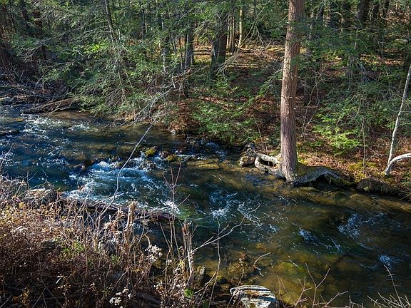 5th image of 0 Goose Pond Rd