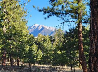 LOT 9 County Road 261, Nathrop, CO 81236