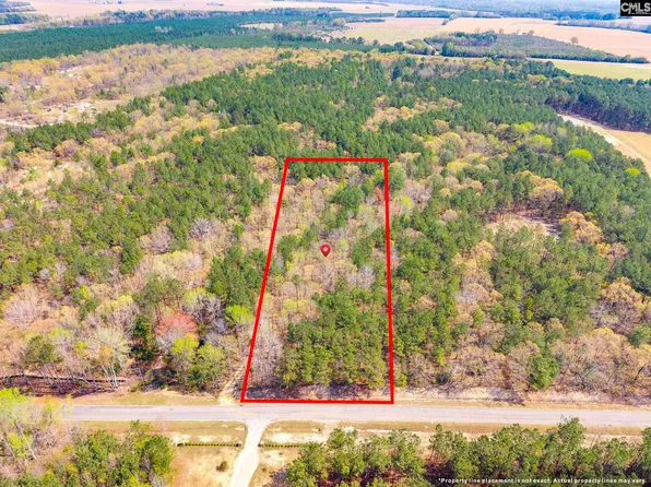 Springvale Rd, Bishopville, SC 29010