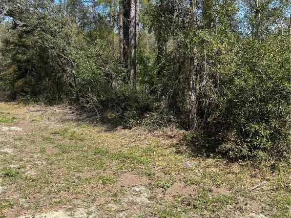 2101 W Most Ln, Citrus Springs, FL 34434