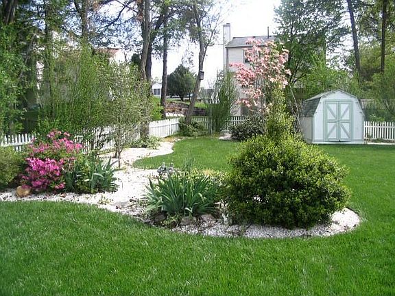 Back Yard from patio