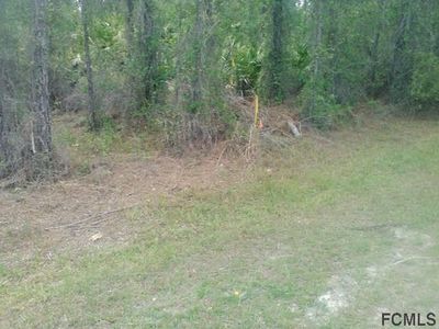 2956 Orange Blossom St, Bunnell, FL, 32110