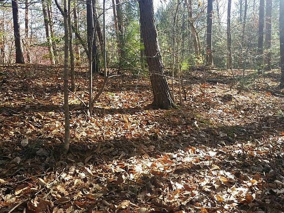 5th image of 115 Lakeside Trce Lot 21