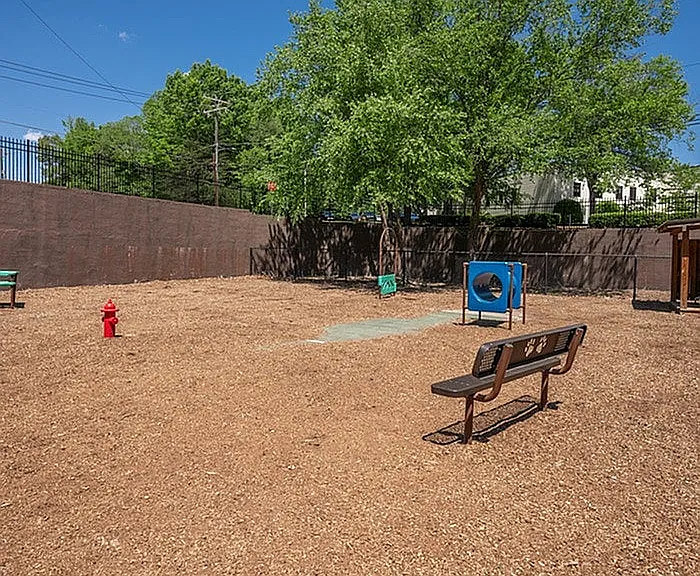 Bark Park