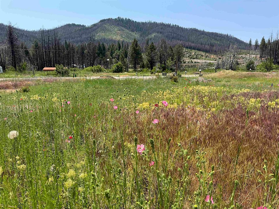 2nd image of 174 Hot Springs Rd