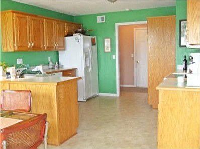 KITCHEN WITH APPLICANCES AND WATER SOFTNER