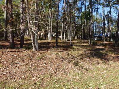 150 Twinstone Cir, Coldspring, TX, 77331