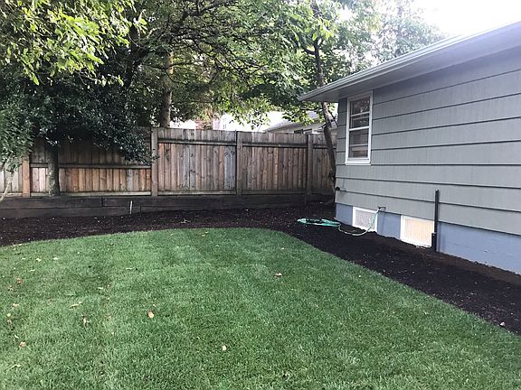 Back yard