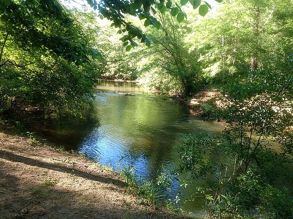 Walnut Creek