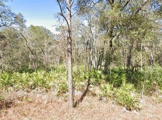 LOT 17 Overcup Dr LOT 17, Webster, FL 33597