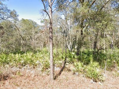 LOT 17 Overcup Dr Lot 17, Webster, FL, 33597