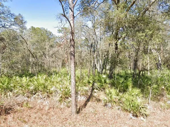 Lot 17 OVERCUP DRIVE LOT 17, WEBSTER, FL 33597