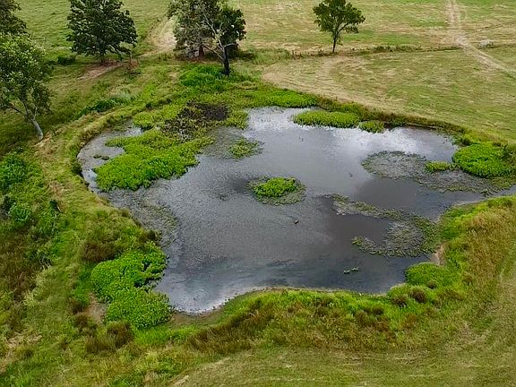 4th image of 551 County Road 2099