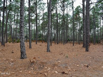 160 Midland Trail, Pinehurst, NC, 28374