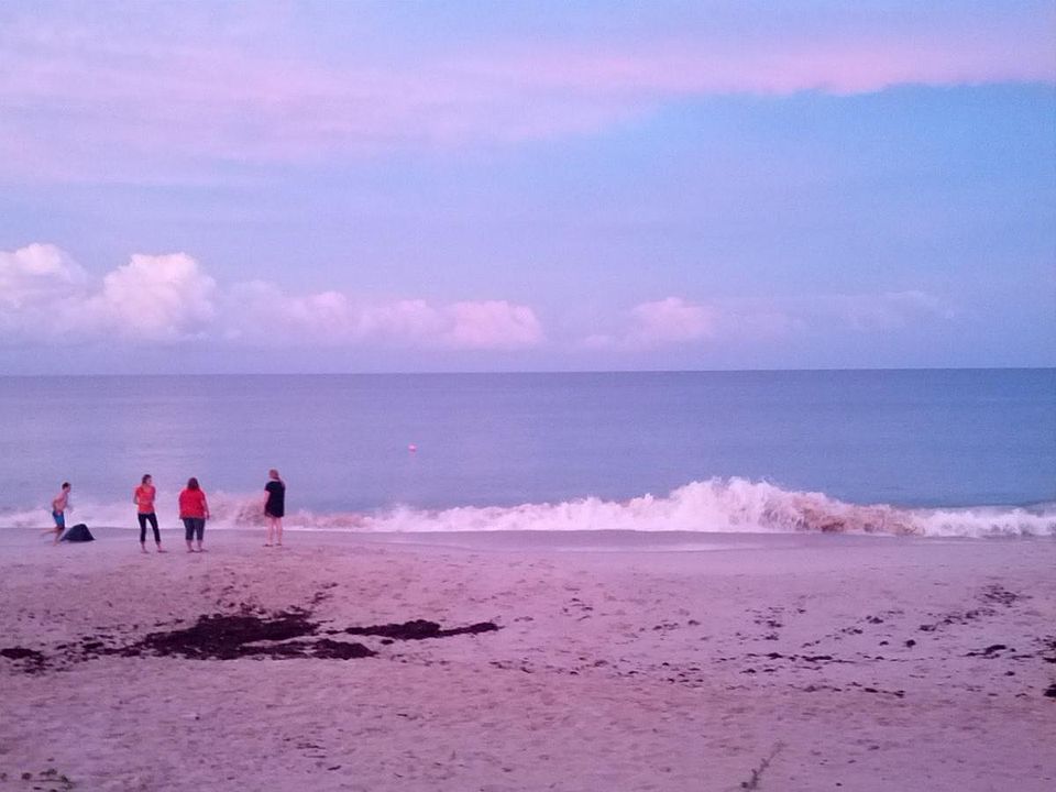 The beach