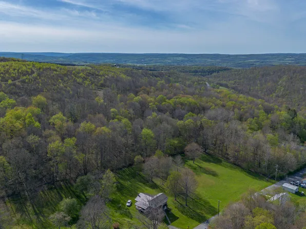 0 Zimmermans Ln, Portage, PA 15946