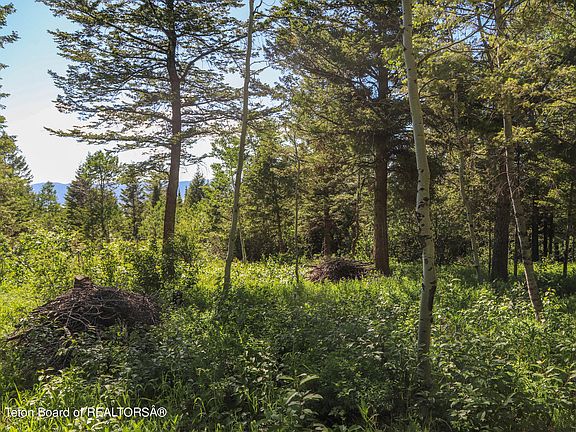 3rd image of 3642 Sorensen Creek Dr