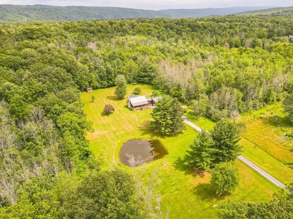 5421 N Old Bald Hill Rd, Hemlock, NY 14466