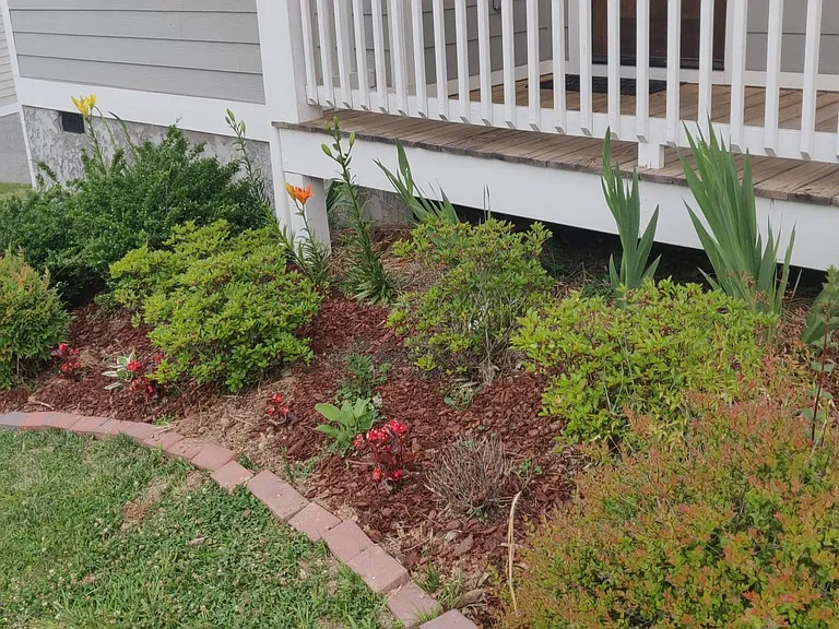 Front garden