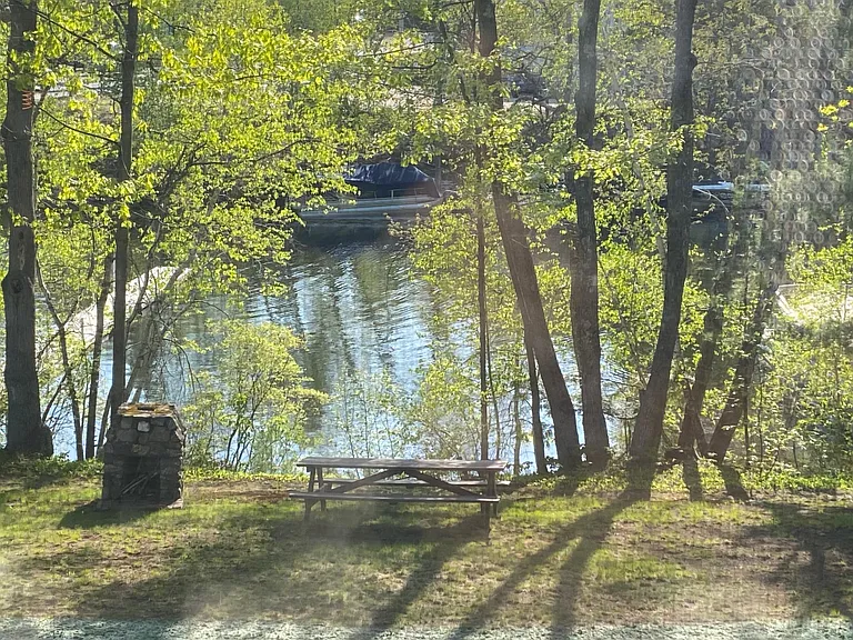 View From the Screen Porch