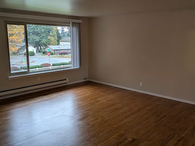 Hardwood floor, huge window