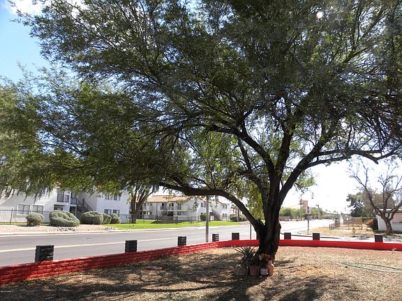 3rd image of 1561 N Casa Grande Ave