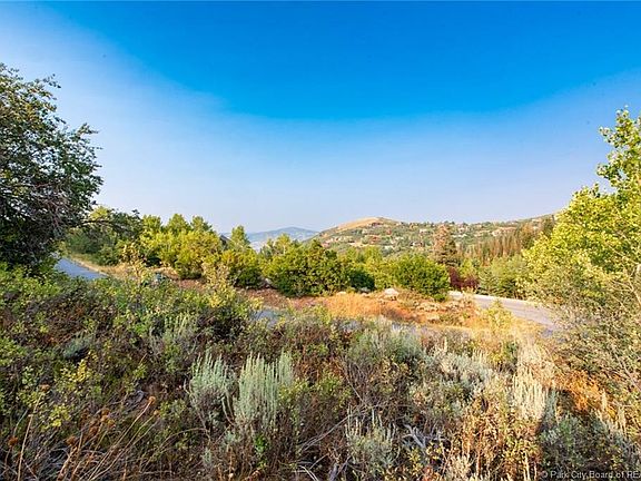 3rd image of 7209 N Buckboard Dr