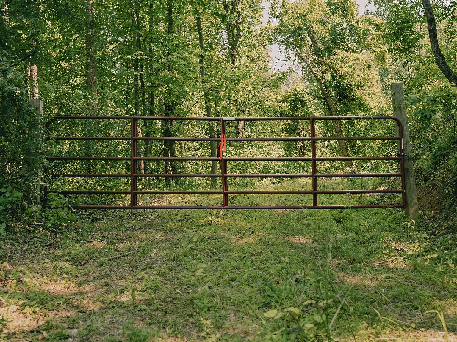 Johnson School Rd LOT WP001, Thaxton, VA 24174 Zillow