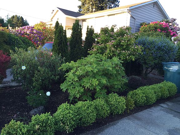 Garden beside driveway