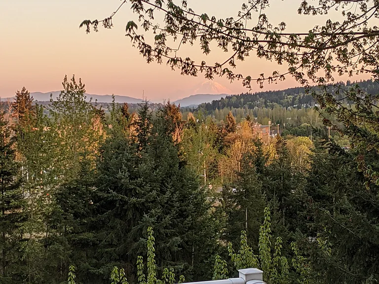 Patio with Mt. Rainier sunset views