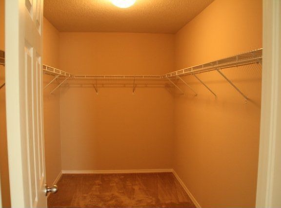 Owner's walk-in closet