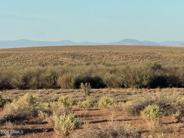 Lot 445 Carrizo Ranch -- #445, St Johns, AZ 85936