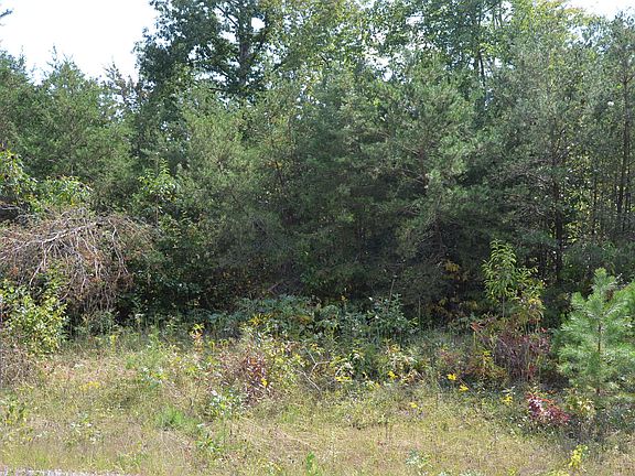 4th image of Pine Breeze Dr
