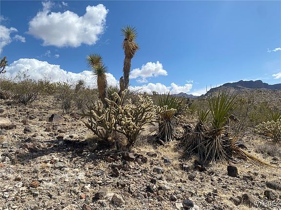 5th image of 328-06-118 NEEDLE Drive