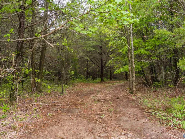 County Road 141, Ider, AL 35981