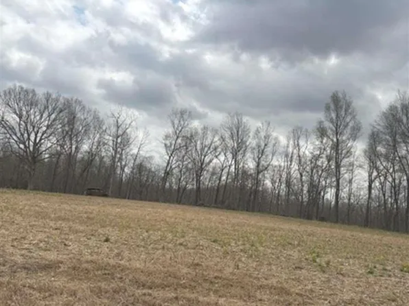 2328 Fisher Ridge Rd, Horse Cave, KY 42749