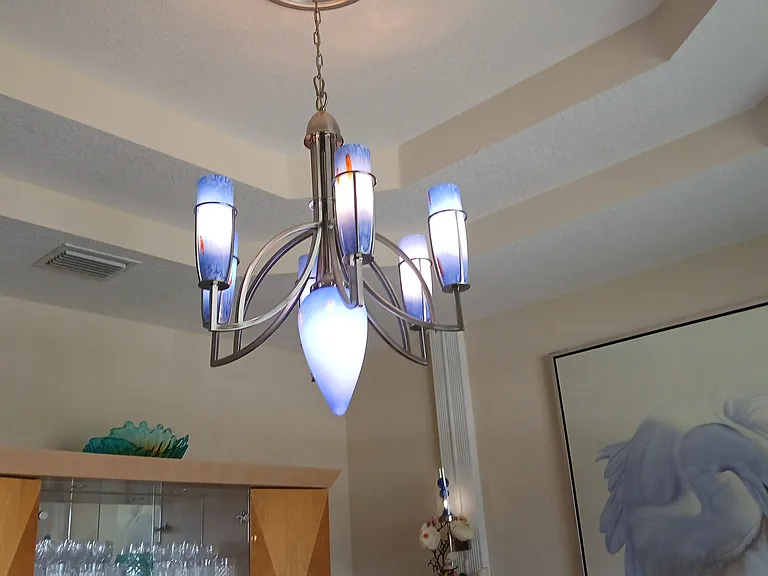 Dinning rm Tray ceiling - hand blown MCM Chandelier