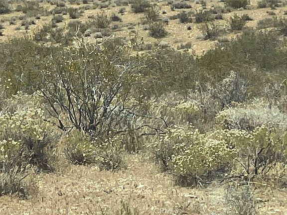 2nd image of 0 E Avenue I Lot 11