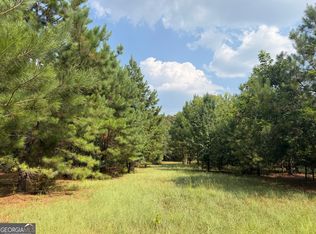 14 S Carter Fish Pond Rd, Plains, GA 31780