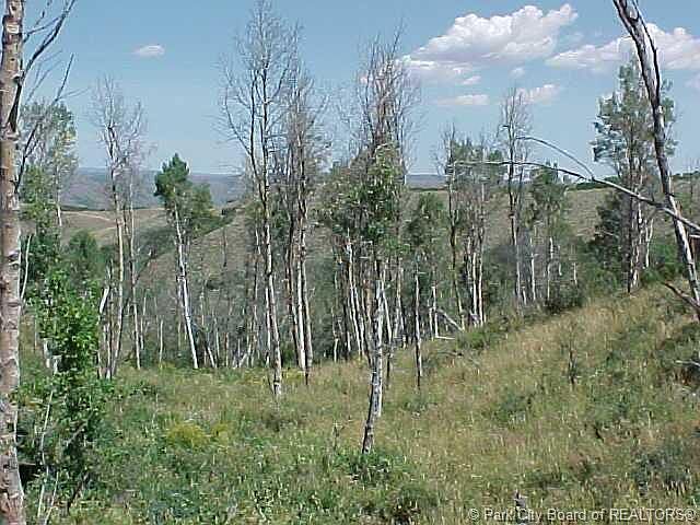 1st image of 5057 N Cherokee Pass #50 & 57