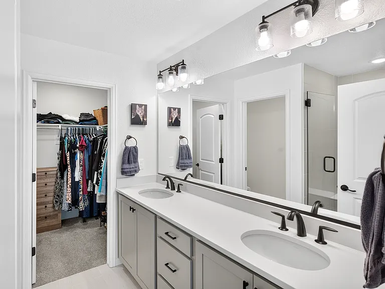 Owner en suite and walk-in closet