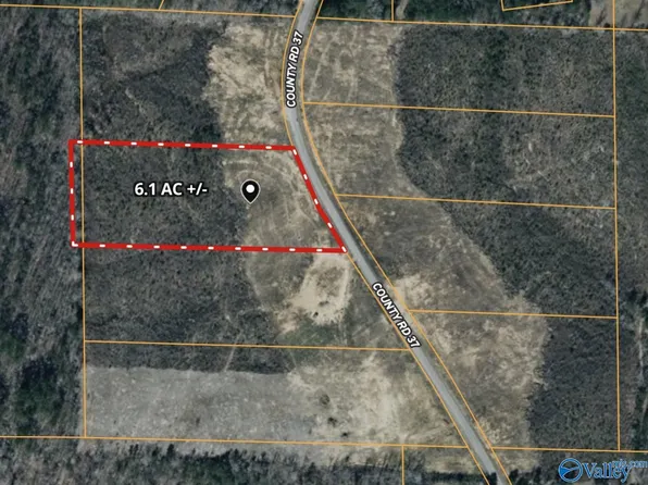 2 County Road 37, Nauvoo, AL 35578