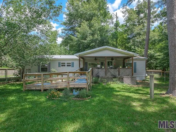 17195 David Dr, Livingston, LA 70754