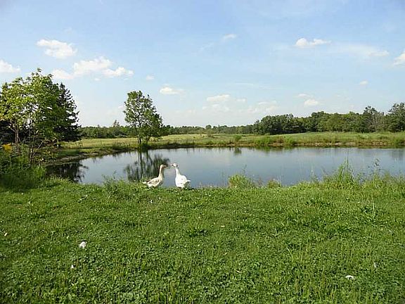 2nd image of 60 County Road 111